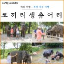 (주)청운투어앤캠프 | 푸켓 자유여행 중 가장 기억에 남았던 케어 체험, 코끼리 생츄어리 정글 투어