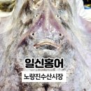 일신수산 이미지