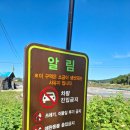 대부해솔길 5코스 | 서해랑길 89코스, 대부 해솔길 5코스