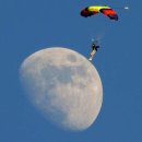 큰닭치킨 이미지