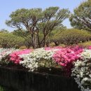 황구지길 이미지