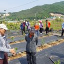 신문수농장 이미지