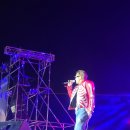 하도데이 이미지