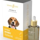 (주)애니픽 이미지