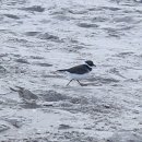 (주)아름다운손짓 이미지