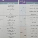박선영논술