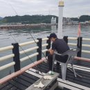 돌산해양낚시공원낚시터 이미지