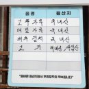 옥천느티나무막국수
