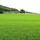 농지목장 이미지