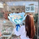 주니캔들관설 이미지