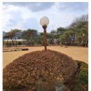 청도강변돌고래펜션 이미지