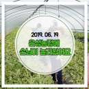 은성농산물 이미지