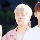 보이핑크