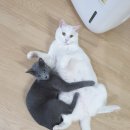 망포우리약국 네이버블로그