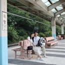 한국철도공사 보성역사 이미지