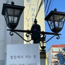 내동네공유주거 이미지