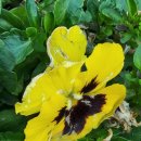 내 삶을 알아보는 명리학 이미지