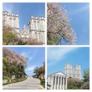 경희대학교 법학전문대학원 | 경희대학교 입학 가이드 | 유래·입결·추천학과·복지까지