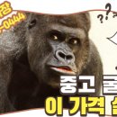 한길건설기계 네이버블로그