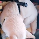 (주)에스메디칼 이미지