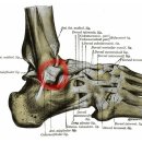 진솔한의원 이미지