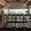 레이디 휘트니스 이미지