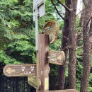 장산 정상 화장실 이미지