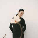 르베이지 데일리안