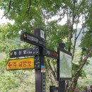 단성생활체육공원 이미지