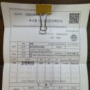 대가한우암소