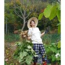 마야 카카오 검색결과