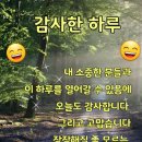 물처럼 바람처럼 이미지