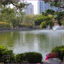 분당중앙공원 이미지