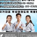 국가대표 부성태권도 이미지