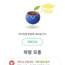 블룸블룸과천