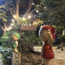 슬로울리인무학 | [대구/슬로울리인무학] 주차가능 편안한 감성카페