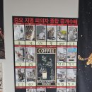 캣츠앤몬스터
