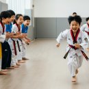 용인대금메달태권도 이미지