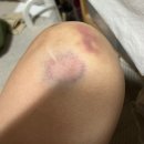 여름향기 | 25년 8월 모음집 2편 : 여름향기 가득 ✨🌿