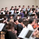 어메이징콰이어 이미지