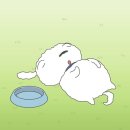 길동중앙약국 이미지