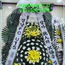 봉암동203 이미지