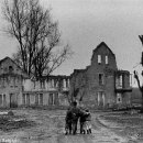 비학농장 이미지