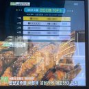 코다리네 | 서울코다리맛집 랭킹2위] 풍촌코다리네 본점 (암사동) 이용후기