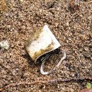 용사1구 이미지