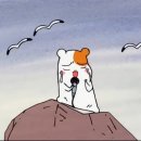 묘해 이미지