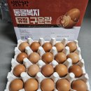 유정농장2 이미지