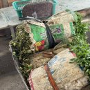 한재나드리 이미지