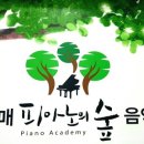 피아노의숲음악학원 이미지