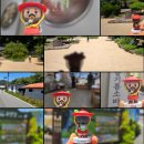 문화해설사의집(이병철생가) 이미지